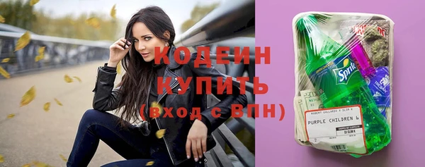 индика Каменногорск