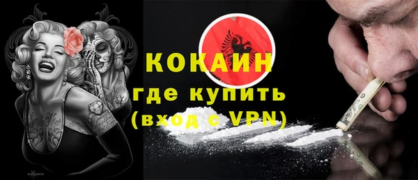 индика Каменногорск