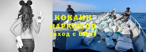 индика Каменногорск