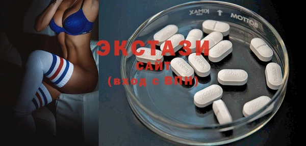 индика Каменногорск
