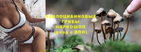 метамфетамин Каменка