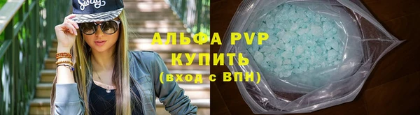 PSILOCYBIN Инта