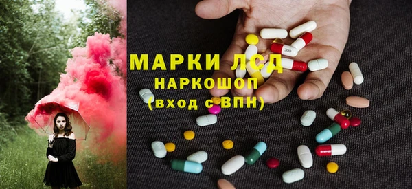 индика Каменногорск