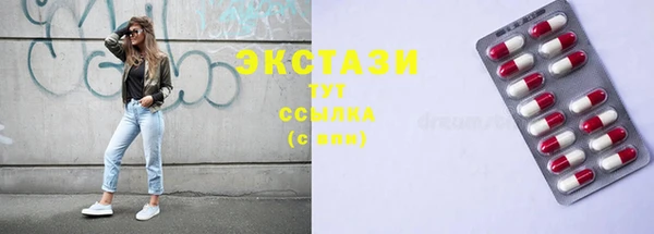 индика Каменногорск
