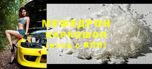 индика Каменногорск