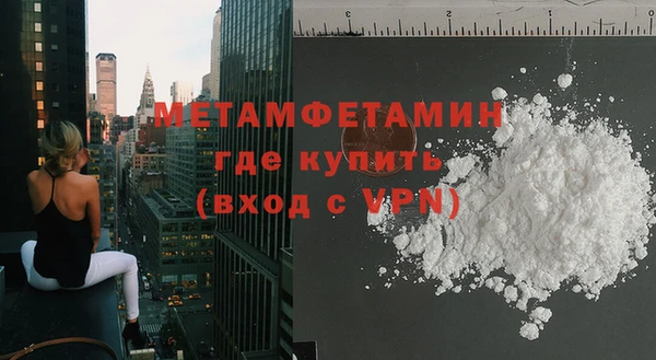 индика Каменногорск