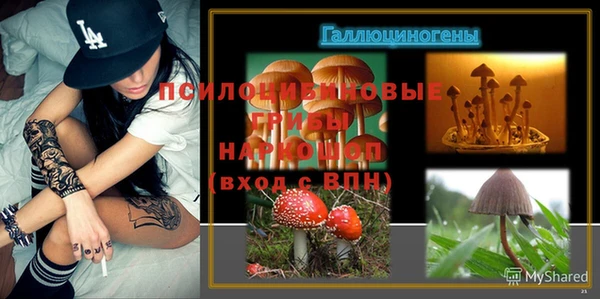 прущий лед Инсар