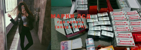 индика Каменногорск