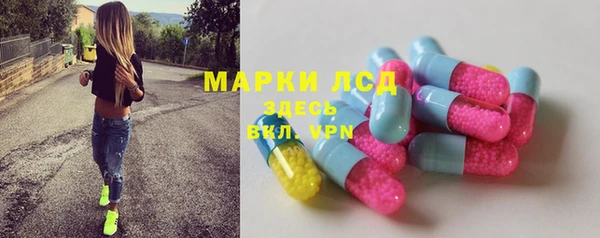 индика Каменногорск