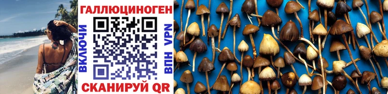 Купить  Володарск  Псилоцибиновые грибы GOLDEN TEACHER 